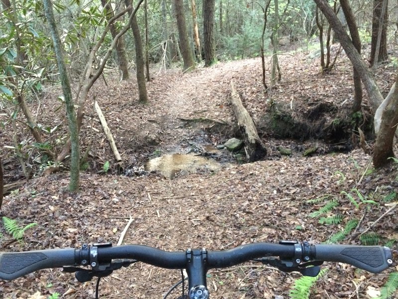 First creek crossing. Not too challenging.