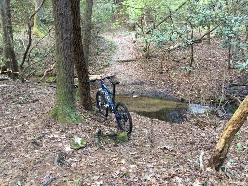 Last creek crossing on the River Loop Trail before the big uphill. A little tricky.