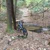 Last creek crossing on the River Loop Trail before the big uphill. A little tricky.