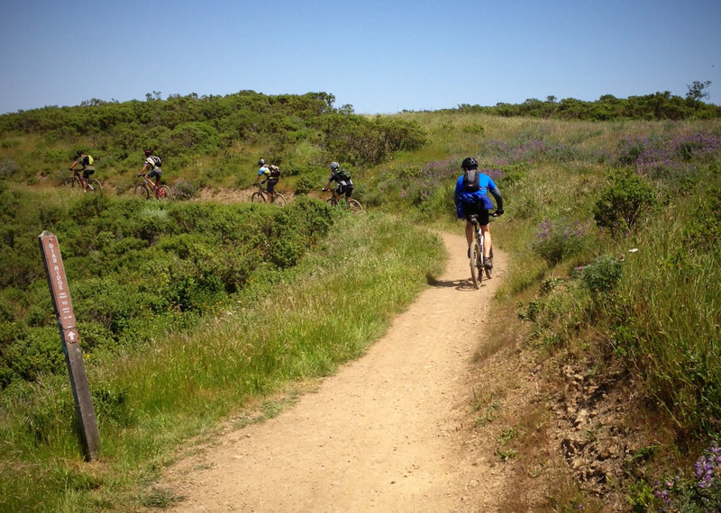 At the Miwok Trail junction