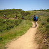 At the Miwok Trail junction