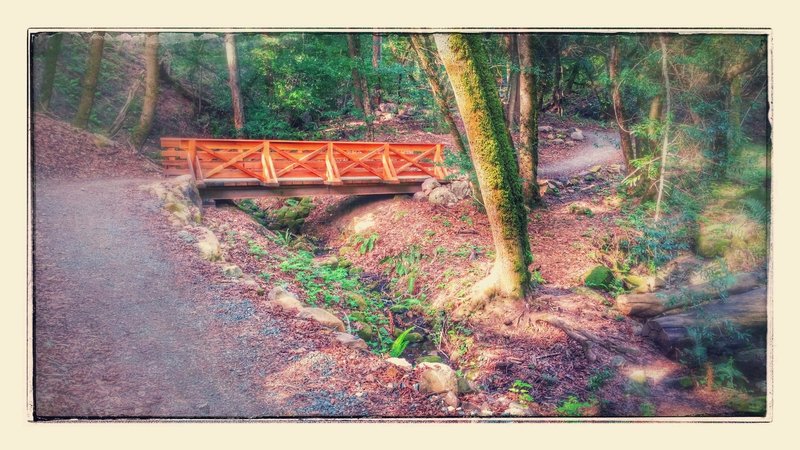 Nice craftsmanship on the bridges at the base of the John Nicholas Trail.