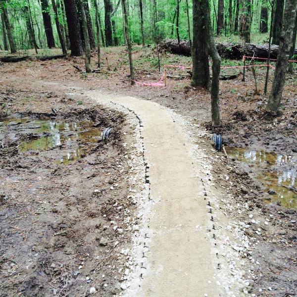 Small bridge over perpetually wet spot.