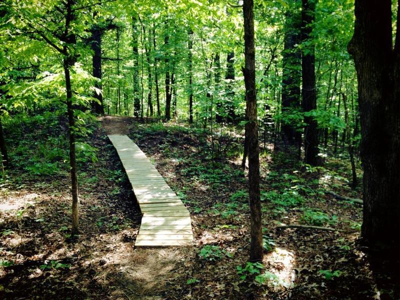 Bridge on Lungbuster Trail