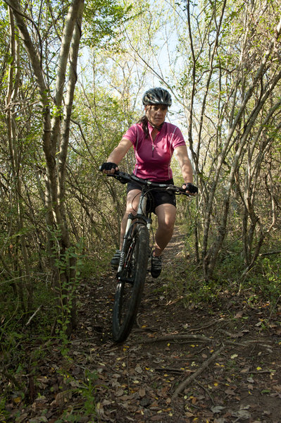 Riding through the thicket.