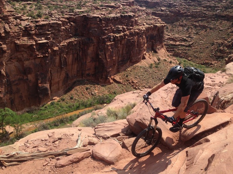 There's some serious exposure along sections of Ahab, but it's hard NOT to ride it with trail like this!