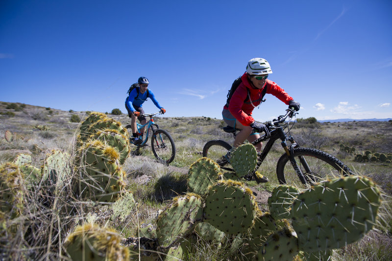 The Big Bug segment of the Black Canyon Trail (BCT) has plenty of fun and flowy sections.