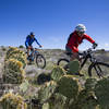 The Big Bug segment of the Black Canyon Trail (BCT) has plenty of fun and flowy sections.