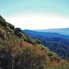 Some great views from the Skyline Trail!