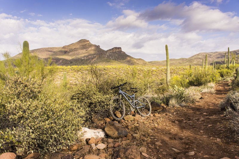 Enjoying the Spur Cross trail!