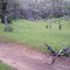 Beautiful meadows on Mule Mountain Trail