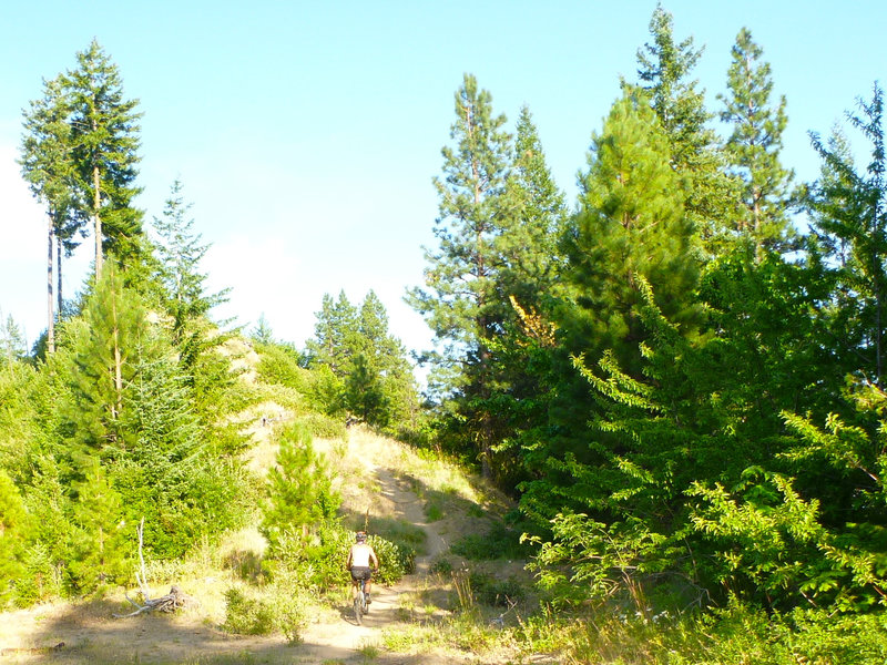 Cycling Freund, WA