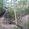 Crossing the second ravine on Trail C.