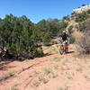 Riding through the cedar trees.