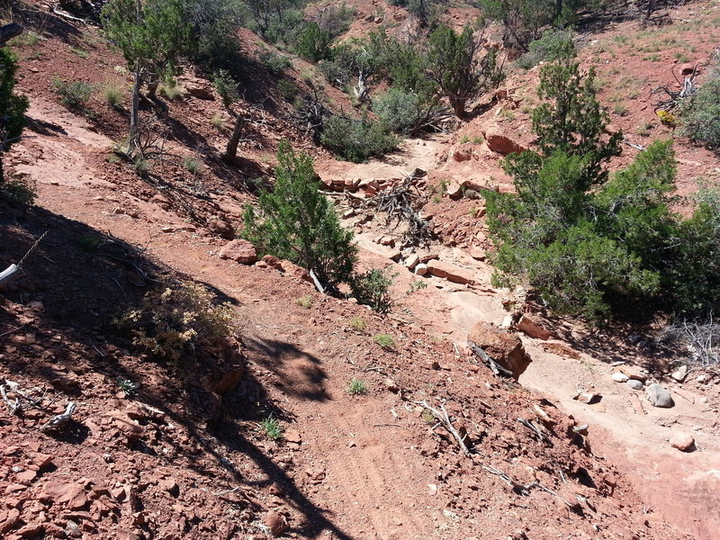 Tricky switchbacks like this on Golden make it a mountain bikers dream come true.