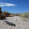 Typical section of the Arroyo Tinajas Trail.