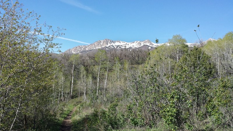 I'm a newcomer to Ogden, UT.  I'm still working out my favorite places to ride.  Wheeler Creek is a grind, but it sure is pretty!