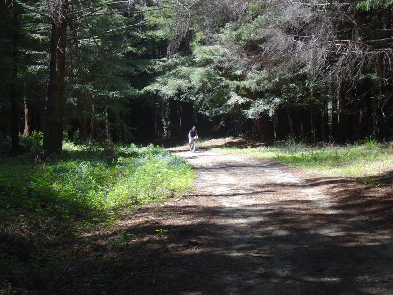 Almost the beginning of the trail