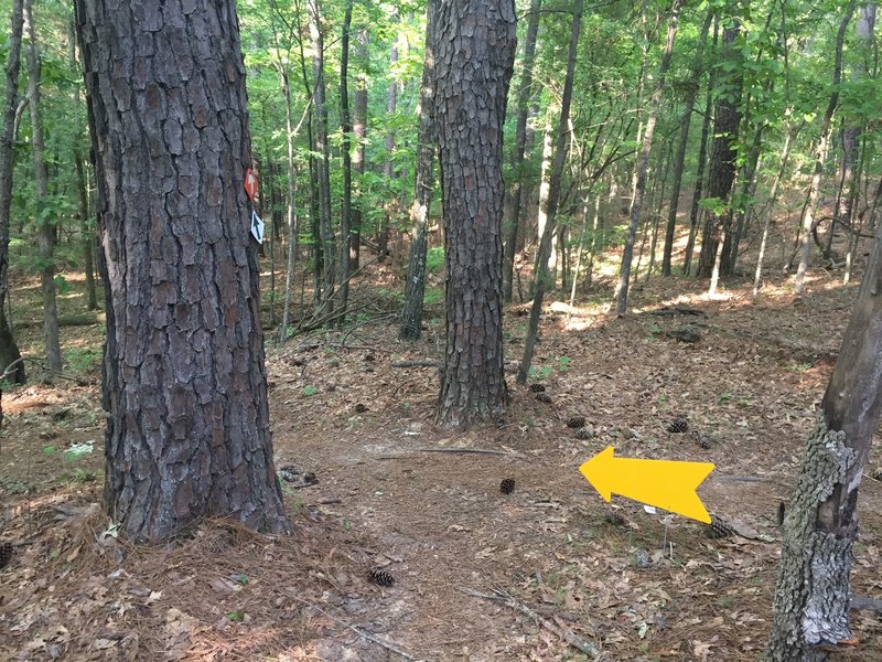 The view of the sharp left for the Race Course.