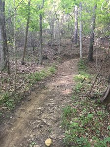 The start of the Red only trail climb to the overlook.