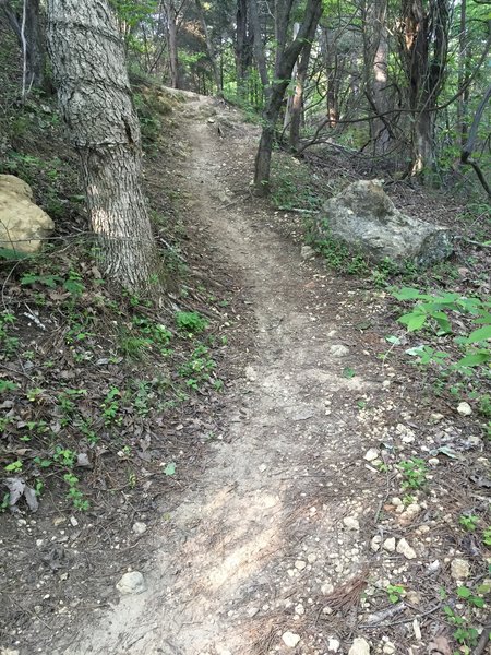 Small rocky climb that gets tight near the top.