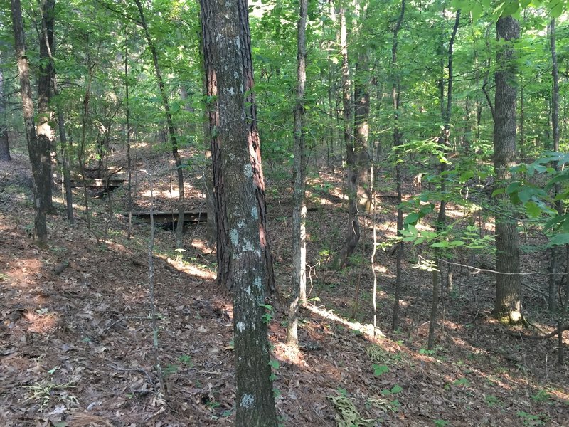 Looking up the hill.