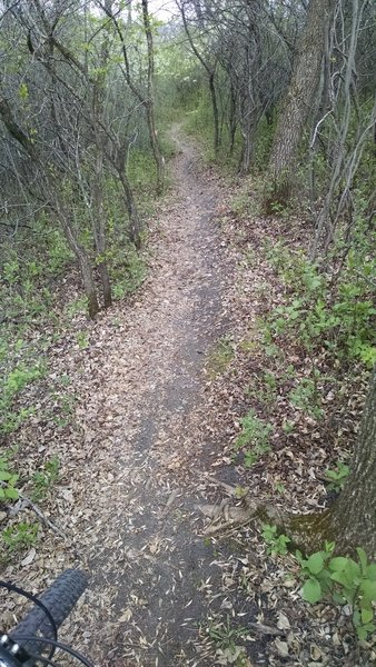 Fun singletrack