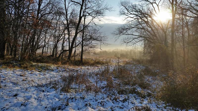 View from Seneca Bluffs on a snowy morning.