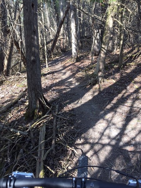 Almonte Riverside Trail singletrack