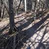 Almonte Riverside Trail singletrack