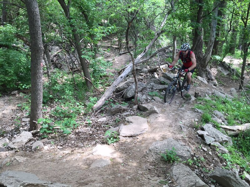 This hill is at the end of the East Loop.