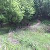 Standing on the old rail bed that passes through the center of the park, looking down onto the trail