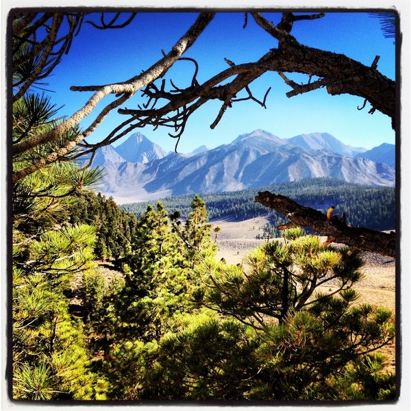 View from Big Smokey Loop