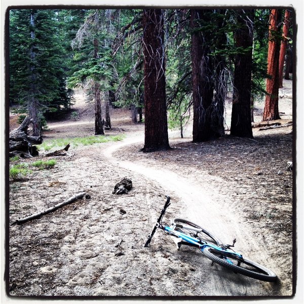 Taking a break on the Downtown Trail