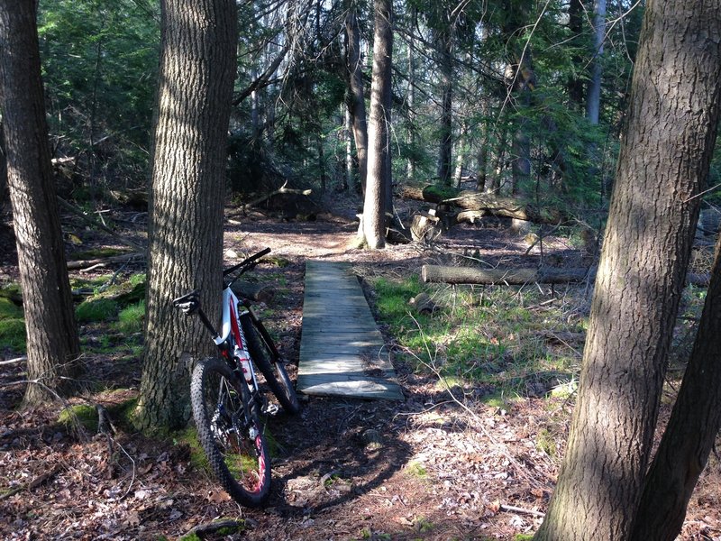 Typical bog crossing