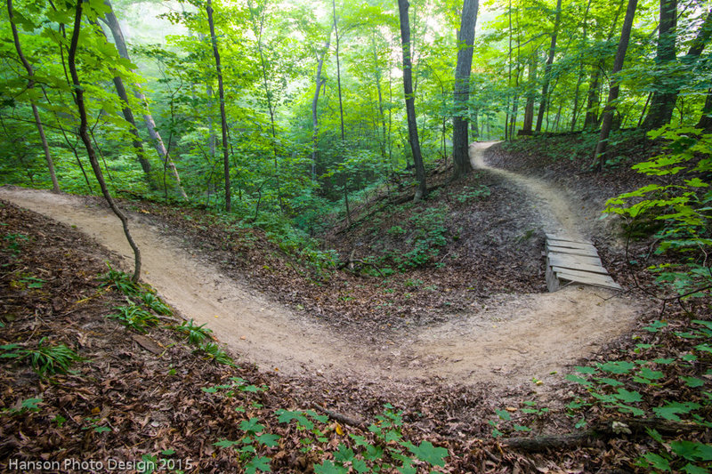 A small trail bridge spans a gulley on the South Loop while the trail snakes it's way along the rim of a deep ravine overlooking the forest and a small creek.