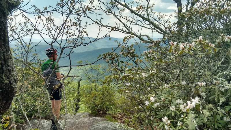 Scenic overlook atop Black Mountain