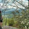 Scenic overlook atop Black Mountain