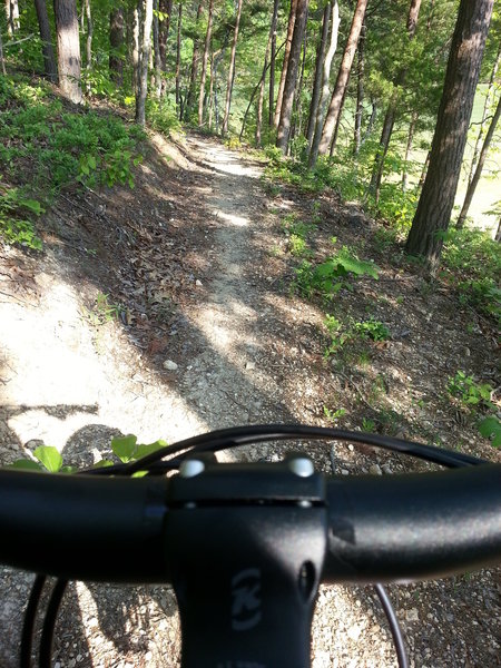 Trail view, nice and dry!