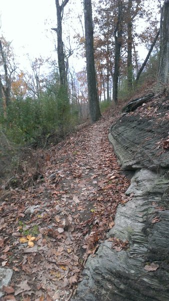 Cool rock formations on Broken Arrow Trial