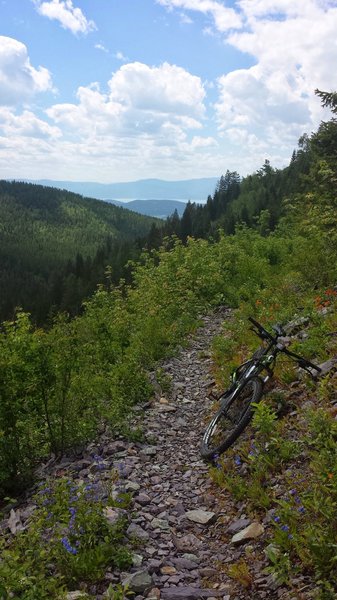 View from Wolf Creek to Flat Head Valley