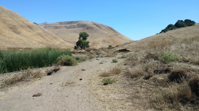 View from Middle Valley Trail