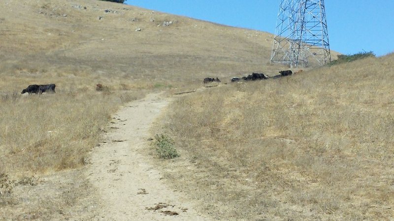 South Valley Trail traffic.