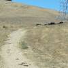 South Valley Trail traffic.