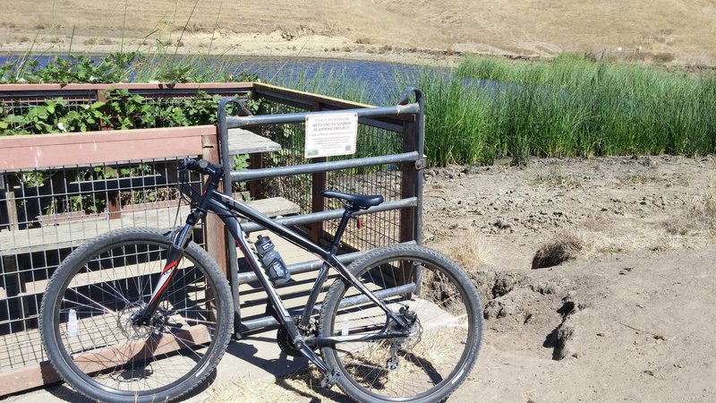 Lynch Reservoir Trail end