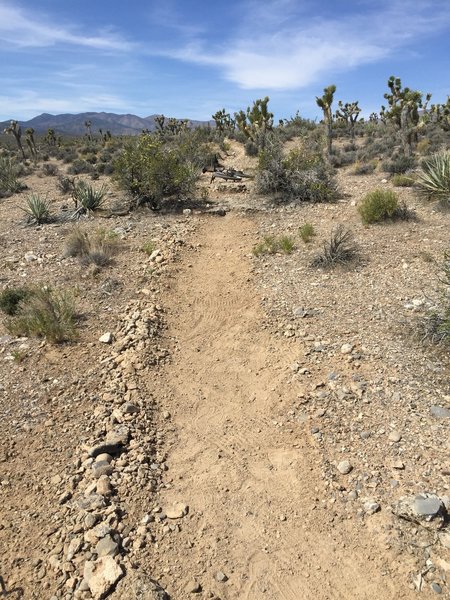 Small rock steps on alternate cut at Twilight