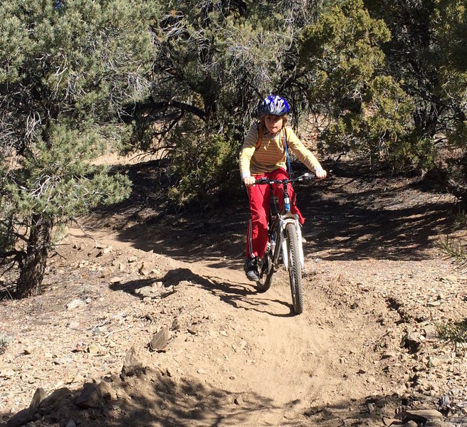 The Pinyon Trail is great for all ages.