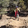 The Pinyon Trail is great for all ages.