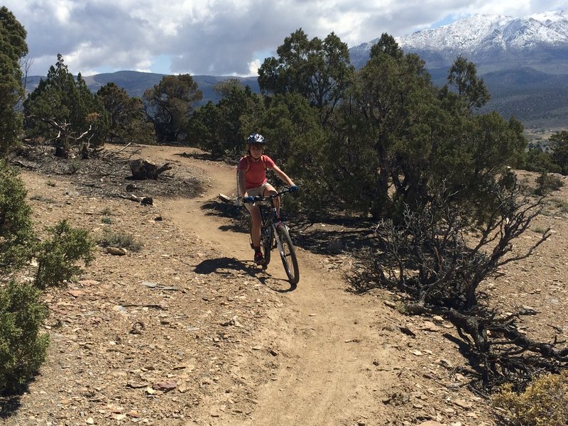 Expansive views of the Pine Nut range.