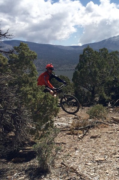 Enjoying another perfect day on the Pinyon Trail.